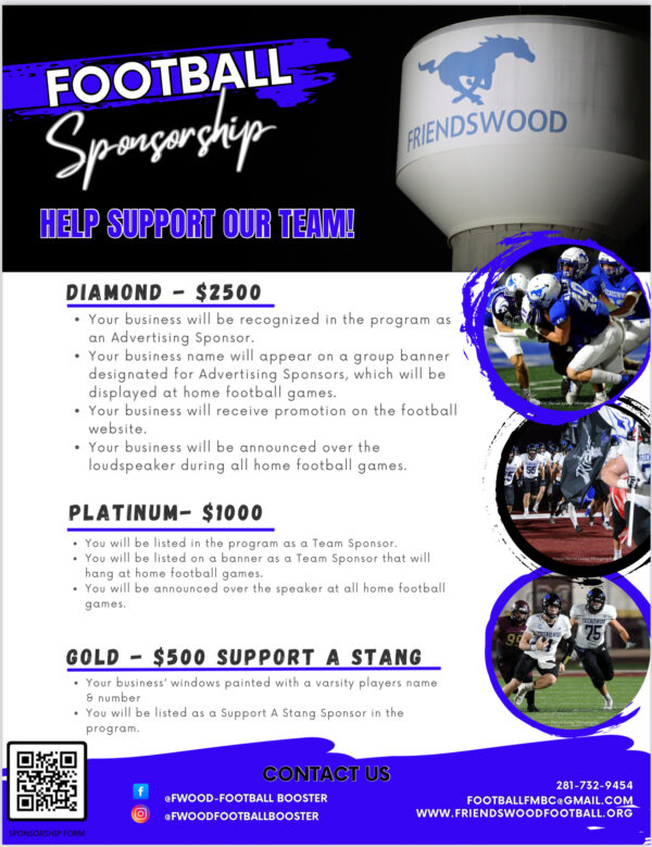 Platinum Sponsorship